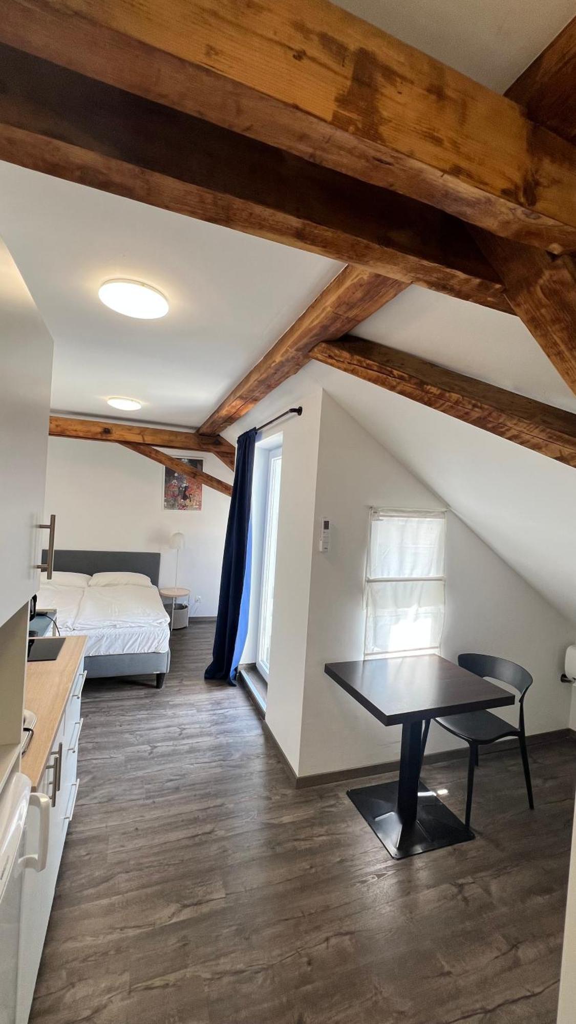 Zhang Apartment Graz